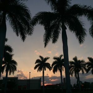 Meet your Posher, Mylan